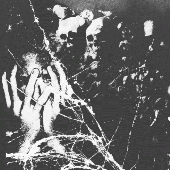 Cryptic Rising : The Fear Unknown